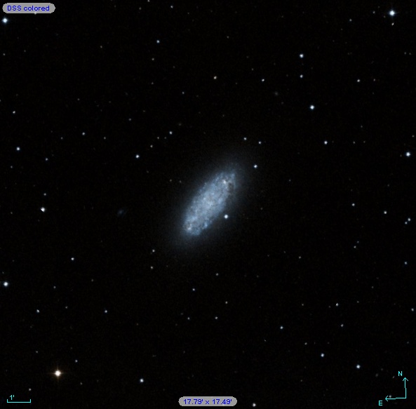 NGC 2976